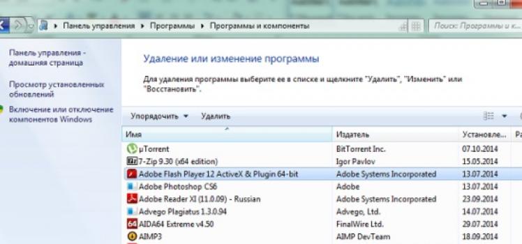 Yandex 브라우저용 Flash Player: 설정 및 업데이트